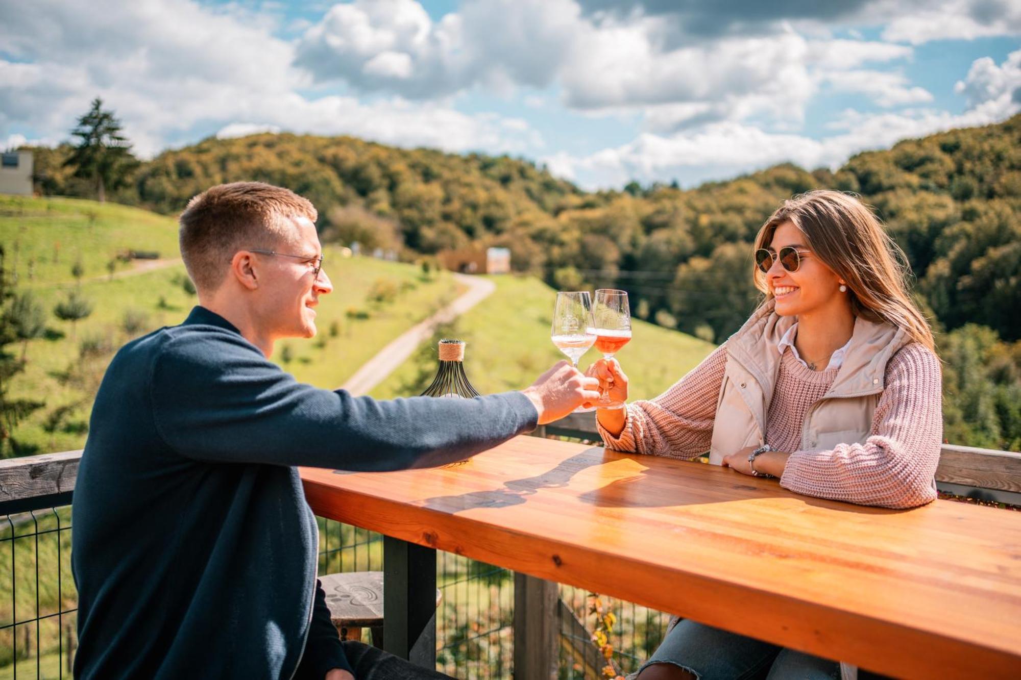 Nesting Resort - Homestead Soncni Raj Maribor Buitenkant foto